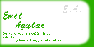 emil agular business card