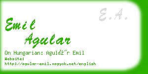 emil agular business card